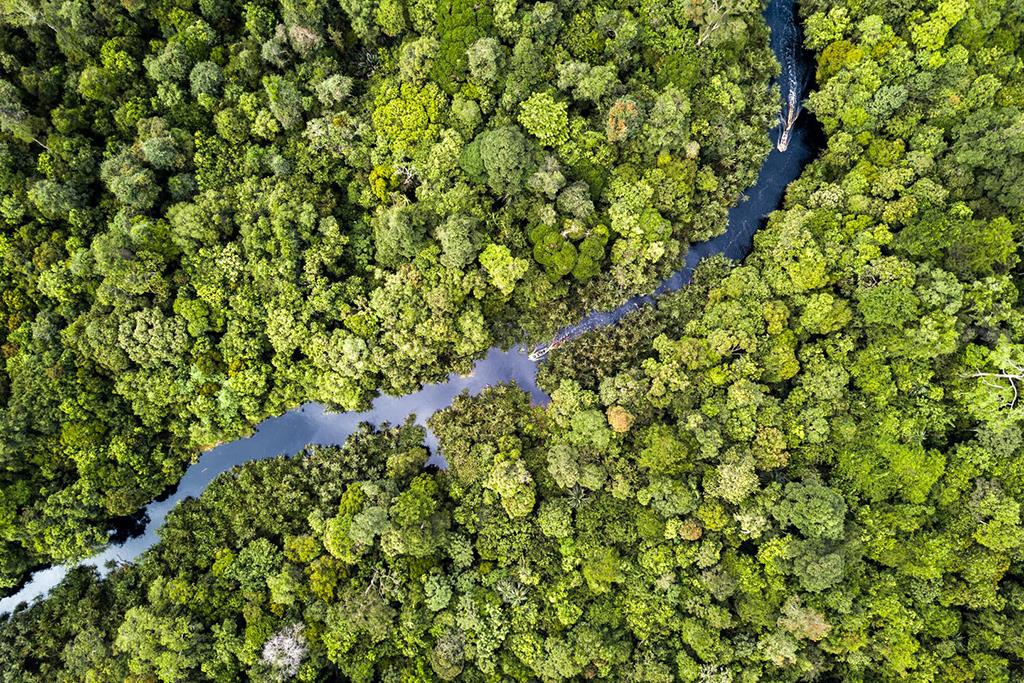 Di sản rừng mưa nhiệt đới đảo Sumatra, Indonesia
